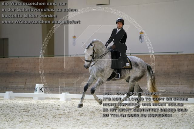 s_K3F09635.JPG